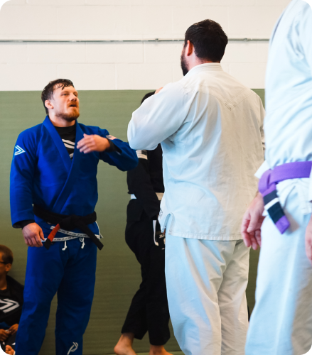 Adults Bjj class Progresso